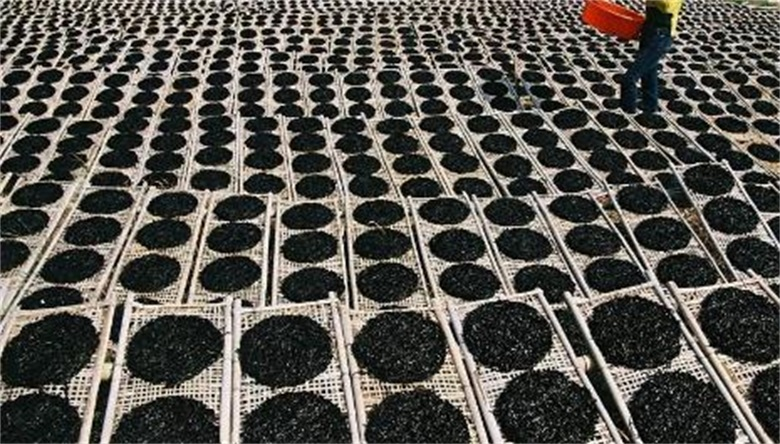 20g Nori Soup Seaweed Without Sand for Vegetarian