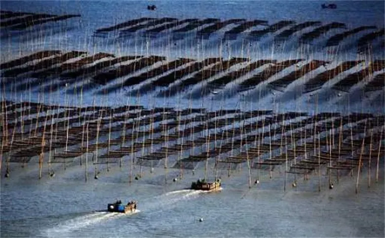 10 Sheets 27g Roasted Instant Algae Sushi Nori Seaweed for Easy Cooking