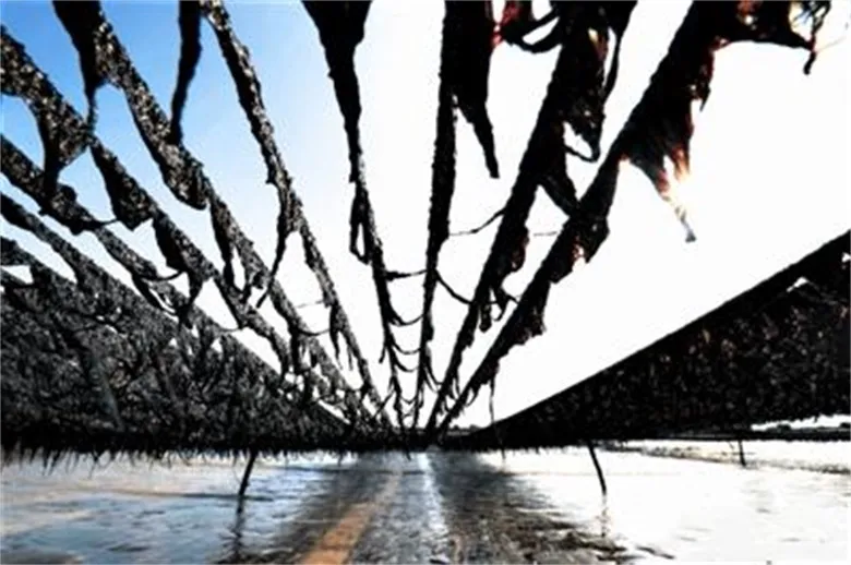 10 Sheets 27g Roasted Instant Algae Sushi Nori Seaweed for Easy Cooking