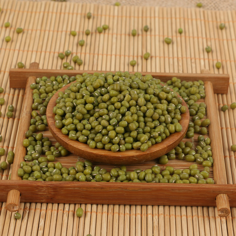 100% Natural Fresh Green Mung Beans at Low Prices