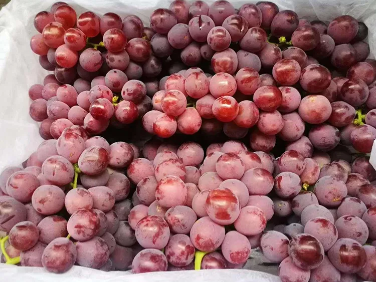 2019 Fresh Red Global Grapes