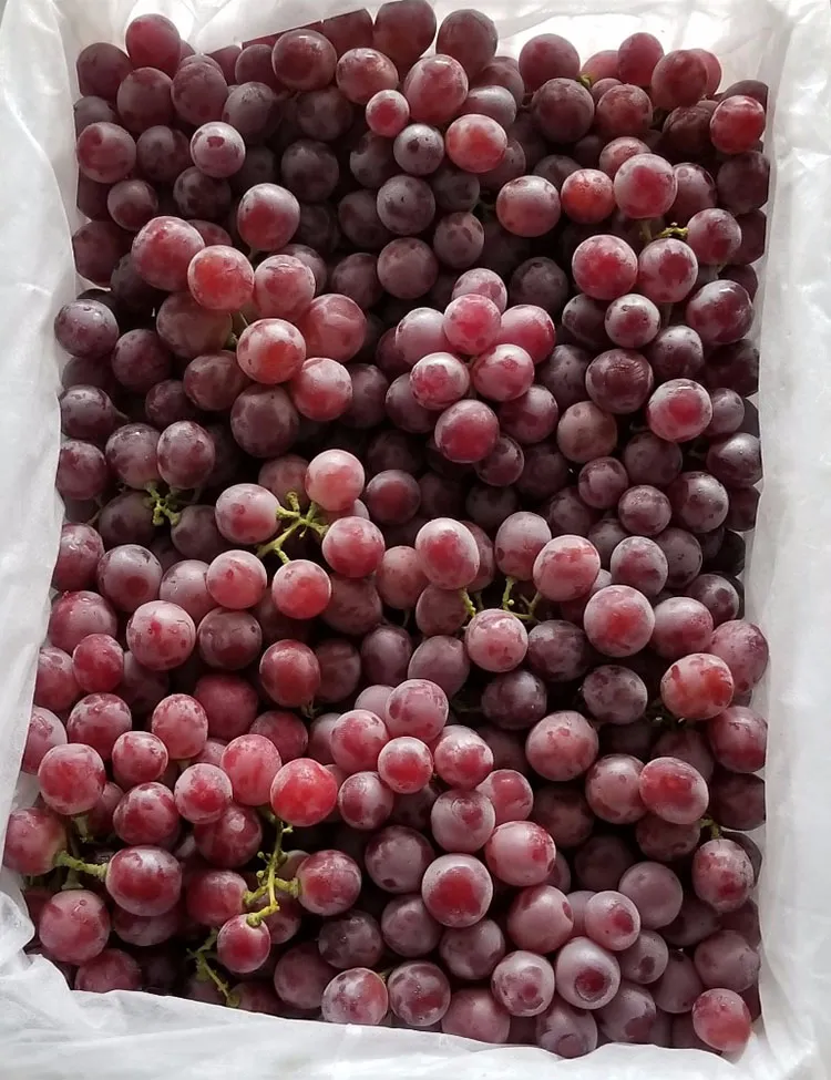 2019 Fresh Red Global Grapes