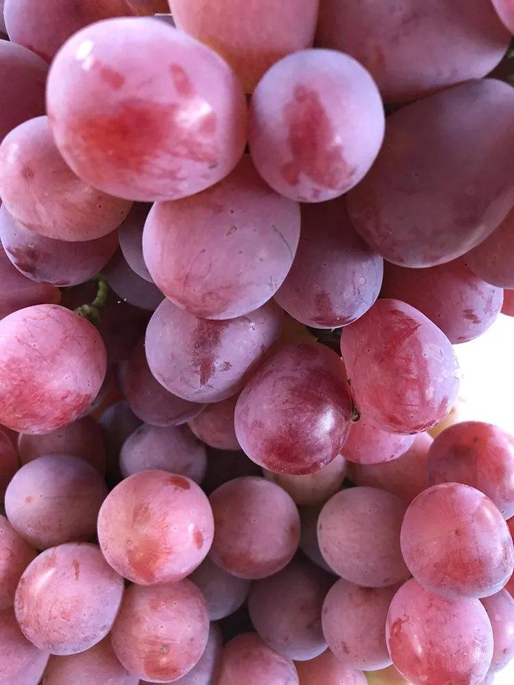2019 Fresh Red Global Grapes