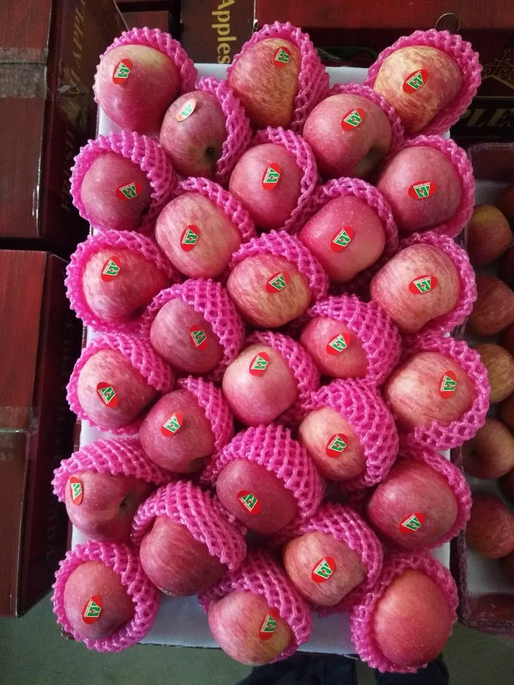 2020new Crop Yantai FUJI Apple Shanxi FUJI Apple