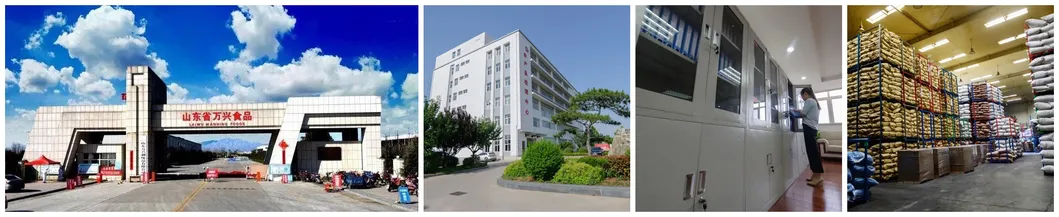 2020new Crop Yantai FUJI Apple Shanxi FUJI Apple
