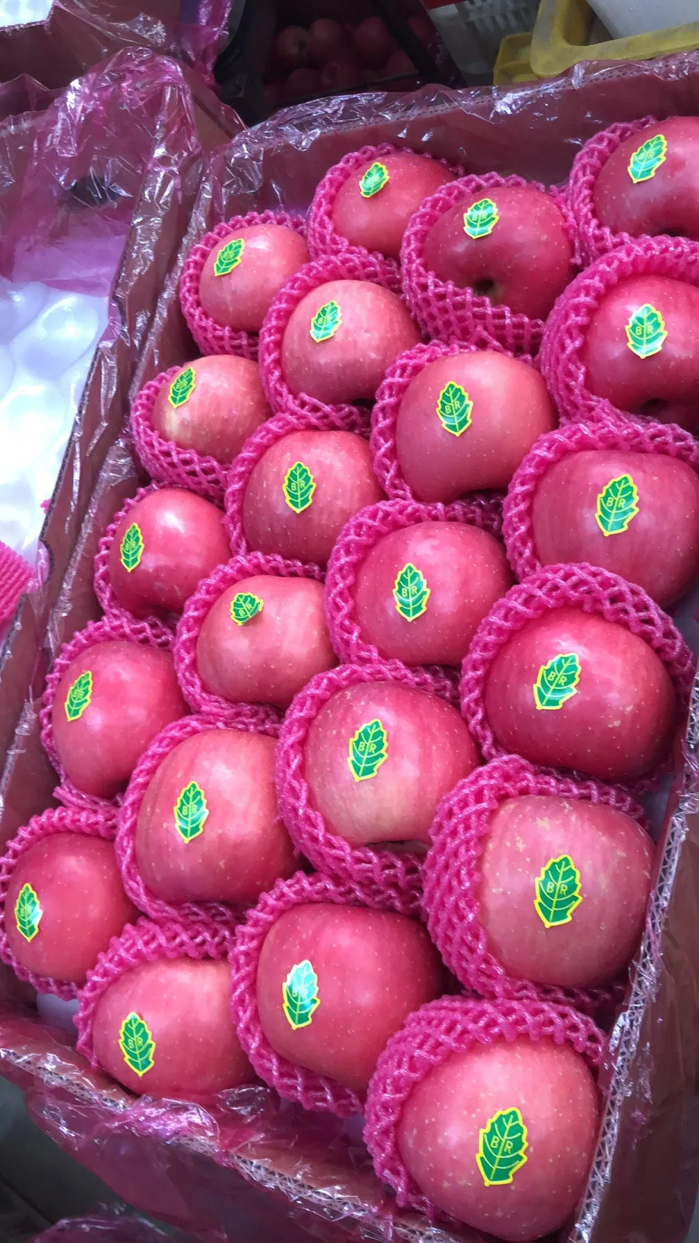 2020new Crop Yantai FUJI Apple Shanxi FUJI Apple