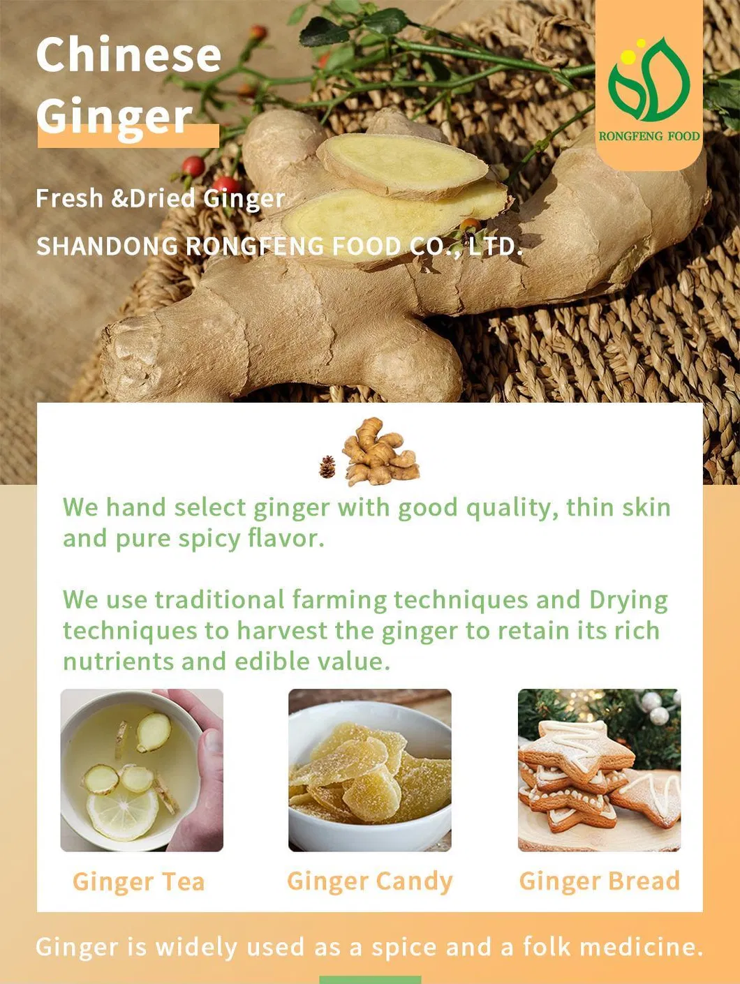 2021 Seasonal Edible Beneficial Chinese Fresh Ginger with Rich Nutrients