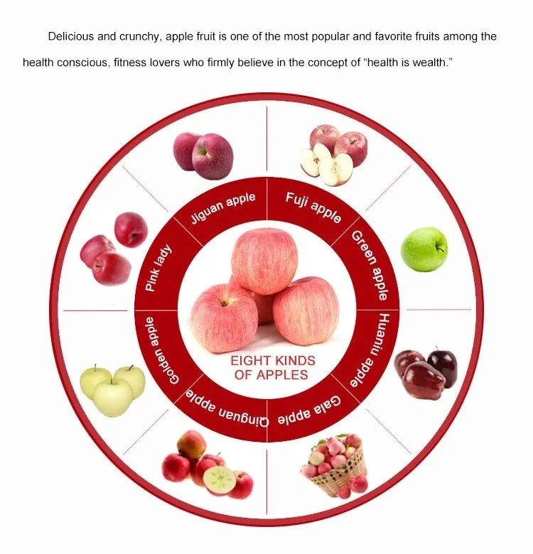 2021grade 1 Red FUJI Apple Sweet and Juicy Original Apple Base Fruit