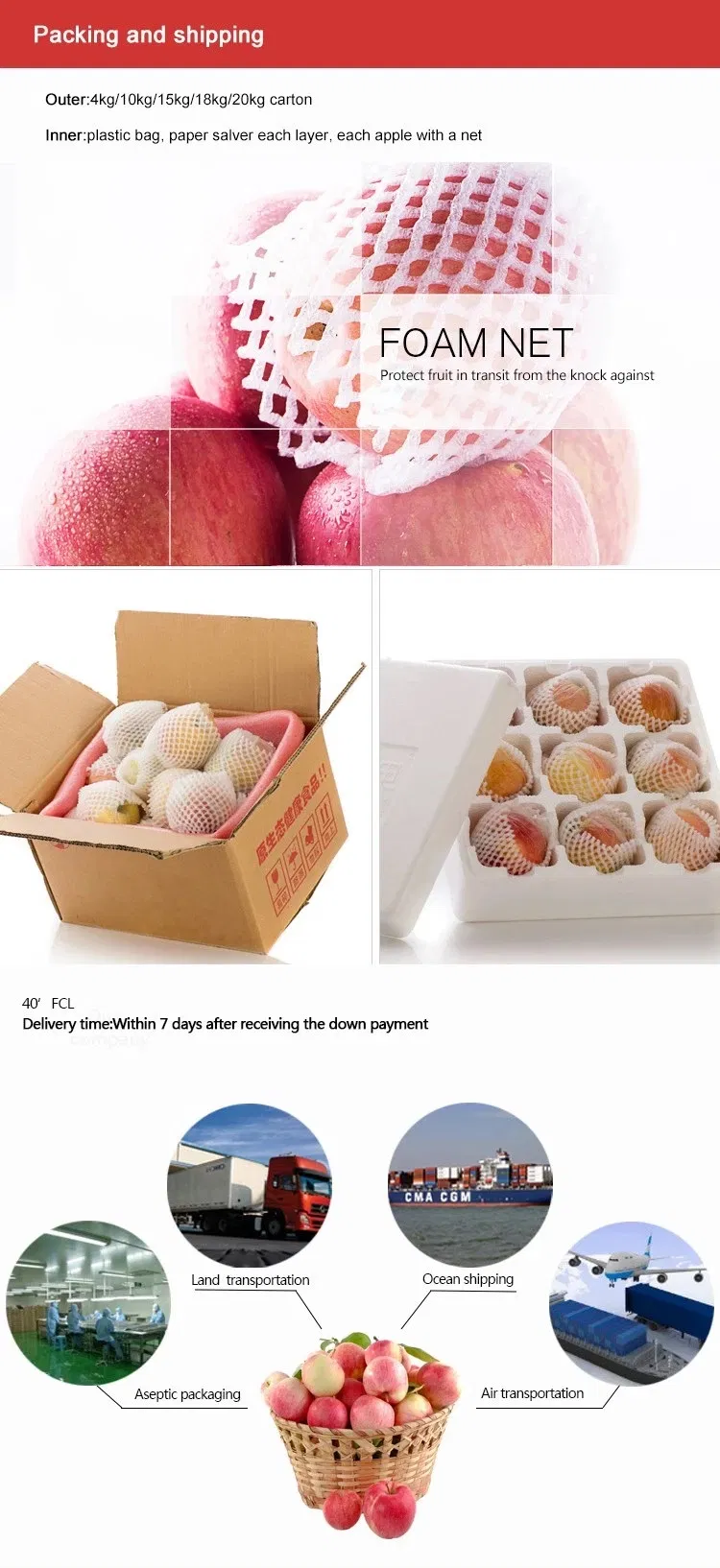 2021grade 1 Red FUJI Apple Sweet and Juicy Original Apple Base Fruit