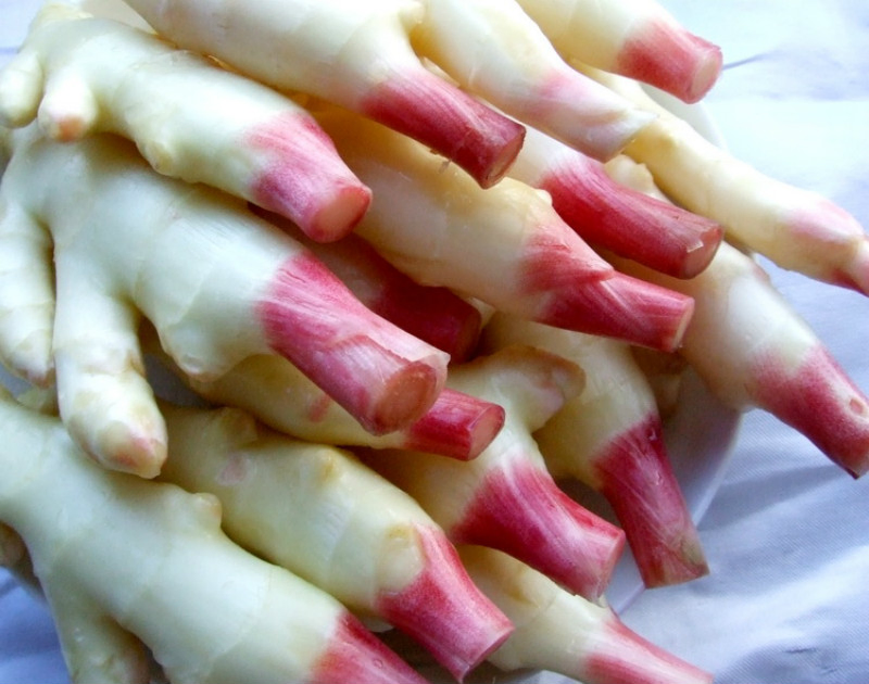 250g Glass Jars New Crop High Quality Sushi Ginger Pink