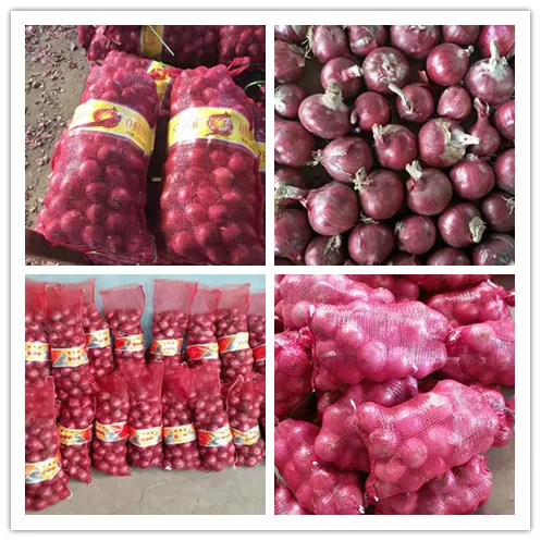 4-7cm Top Quality Fresh Red Onion Large Supplier