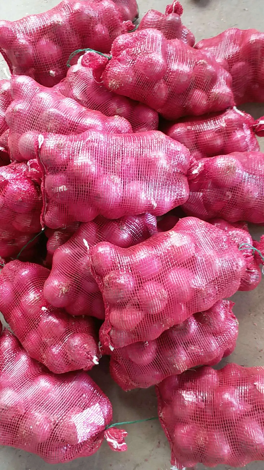 4- 7cm Top Quality Fresh Red Onion Large Supplier