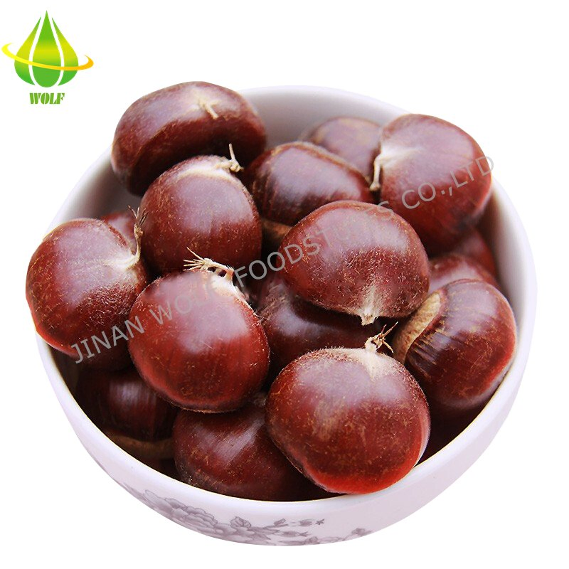 40-50PCS 5kg/10kg/20kg Gunny Bag Packing Chinese Fresh Raw Chestnut