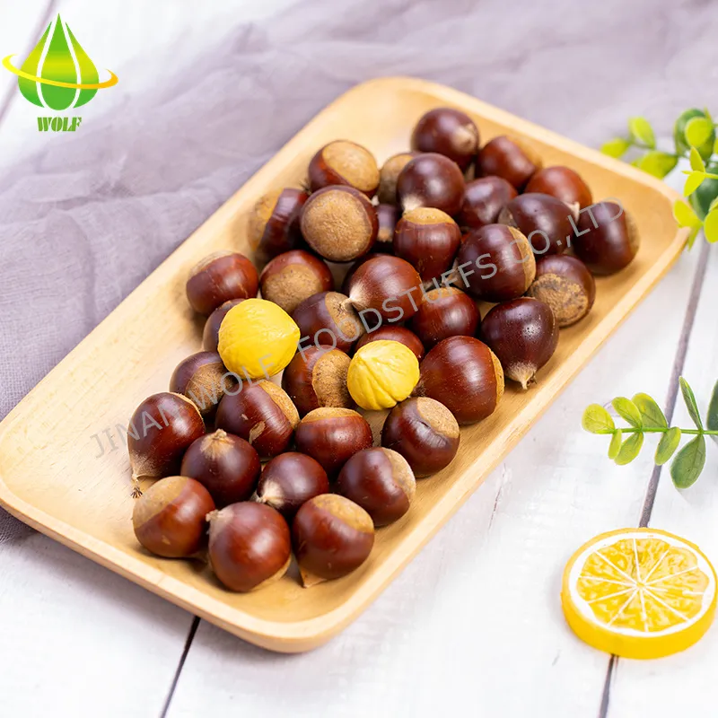 40-50PCS 5kg/10kg/20kg Gunny Bag Packing Chinese Fresh Raw Chestnut