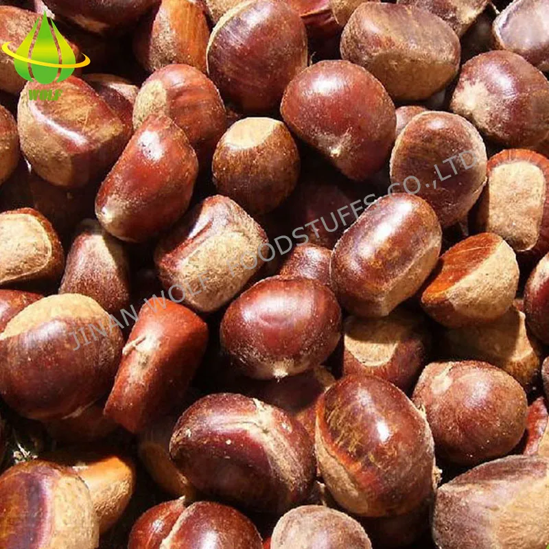 40-50PCS 5kg/10kg/20kg Gunny Bag Packing Chinese Fresh Raw Chestnut