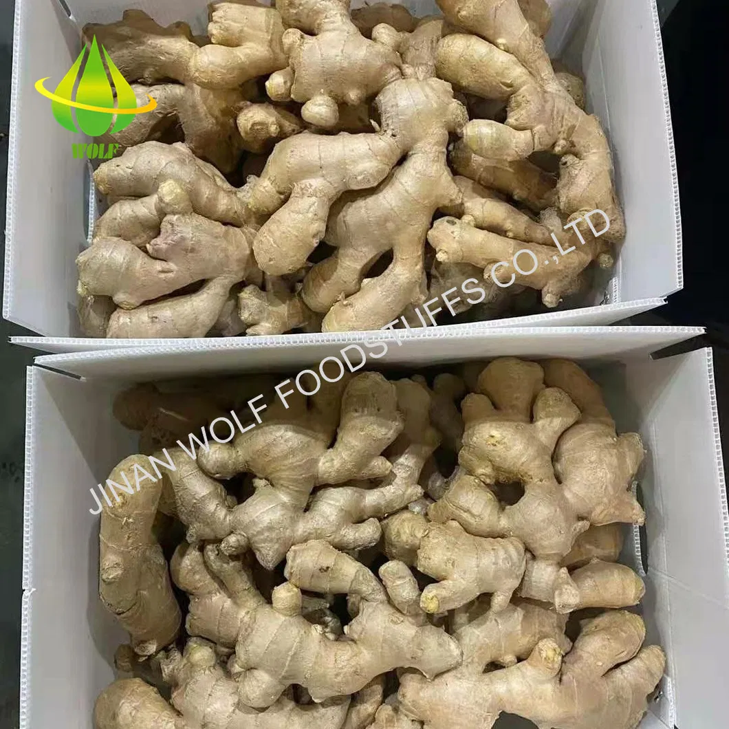 50g/100g/150g/200g/250g and up Air Dried Ginger