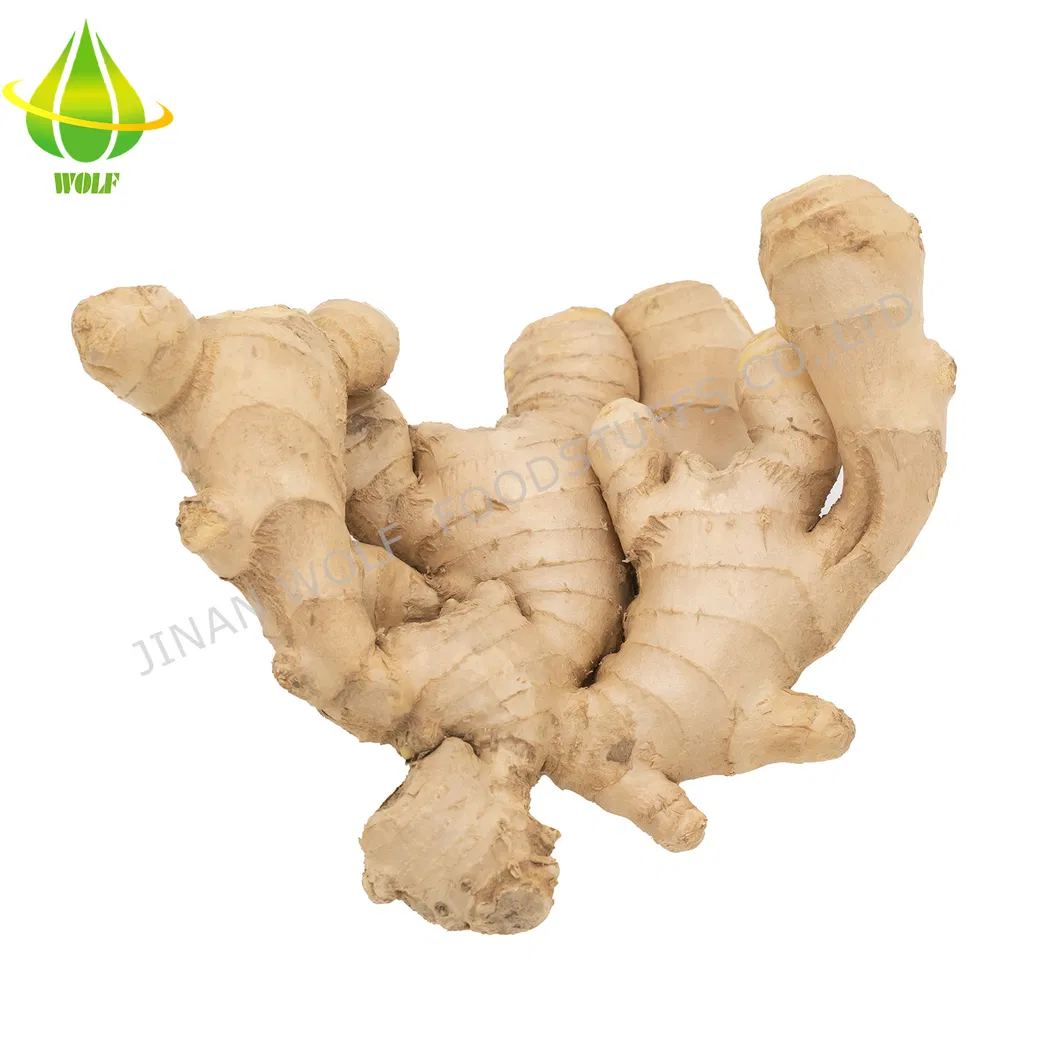 50g/100g/150g/200g/250g and up Air Dried Ginger