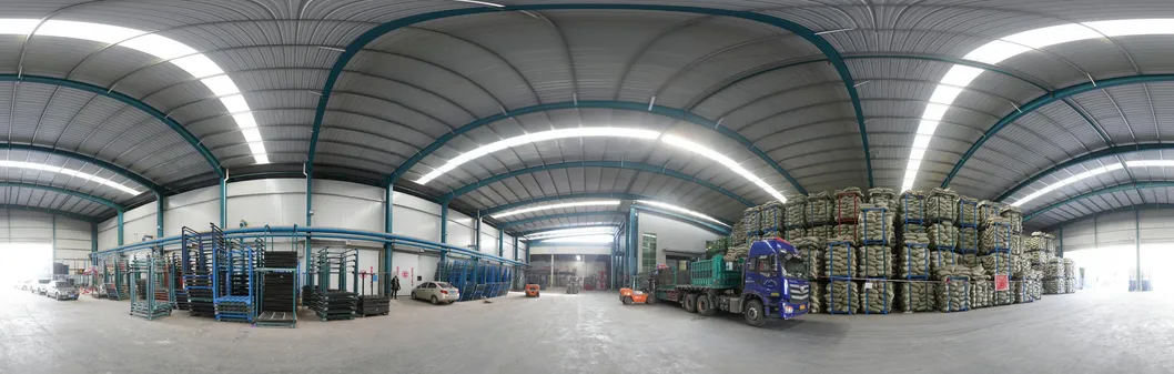 50g/100g/150g/200g/250g and up Air Dried Ginger