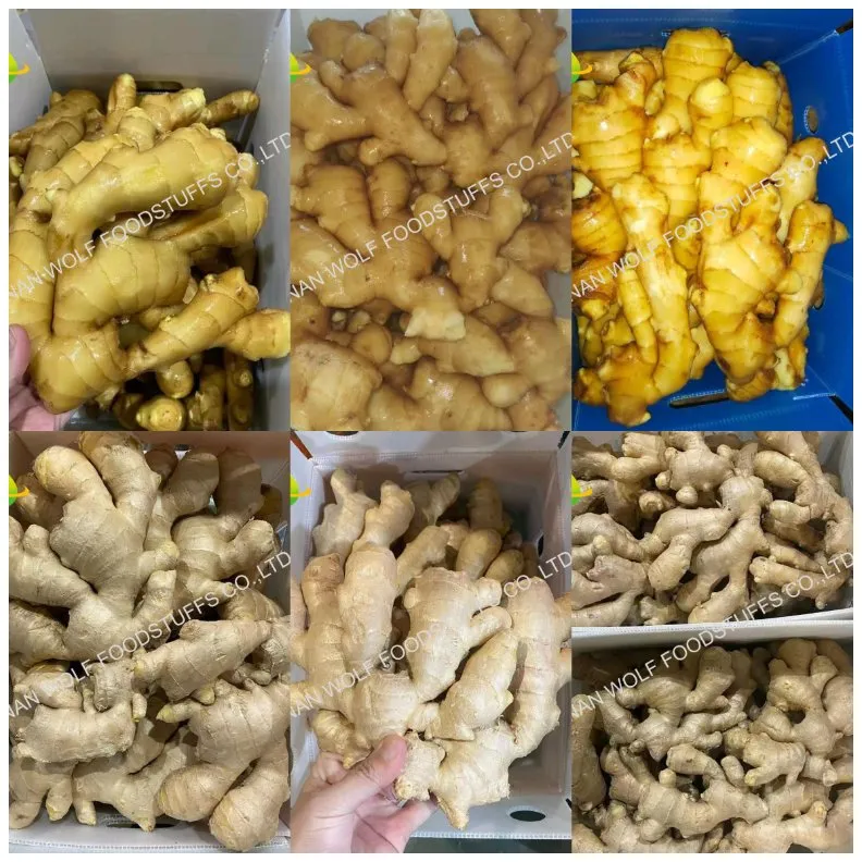 50g/100g/150g/200g/250g and up Air Dried Ginger