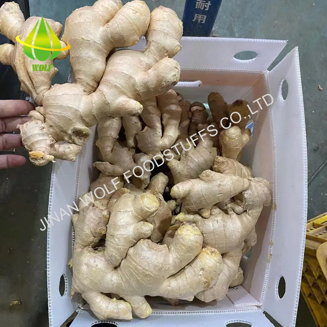 50g/100g/150g/200g/250g and up Air Dried Ginger