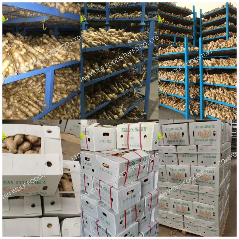 50g/100g/150g/200g/250g and up Air Dried Ginger