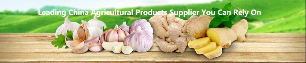 50g/100g/150g/200g/250g and up Air Dried Ginger