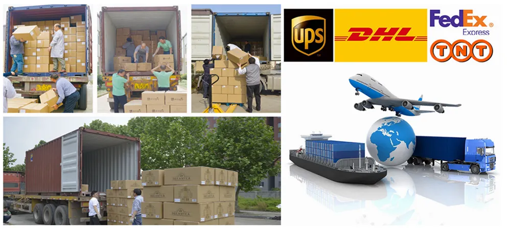 50g Cyclocarya Paliurus Hypoglycemic Tea Herbal Tea for Diabetes Rich Microelements Lower Blood Sugar Drop Three Hypoglycemic