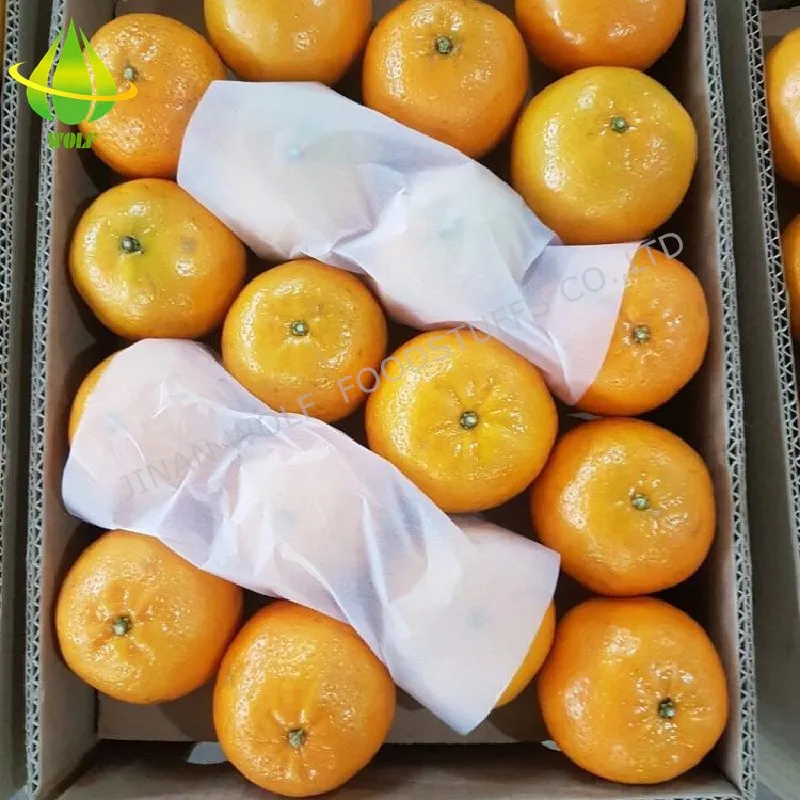 80p/88p/100p/113p Gannan Navel Orange From The Factory