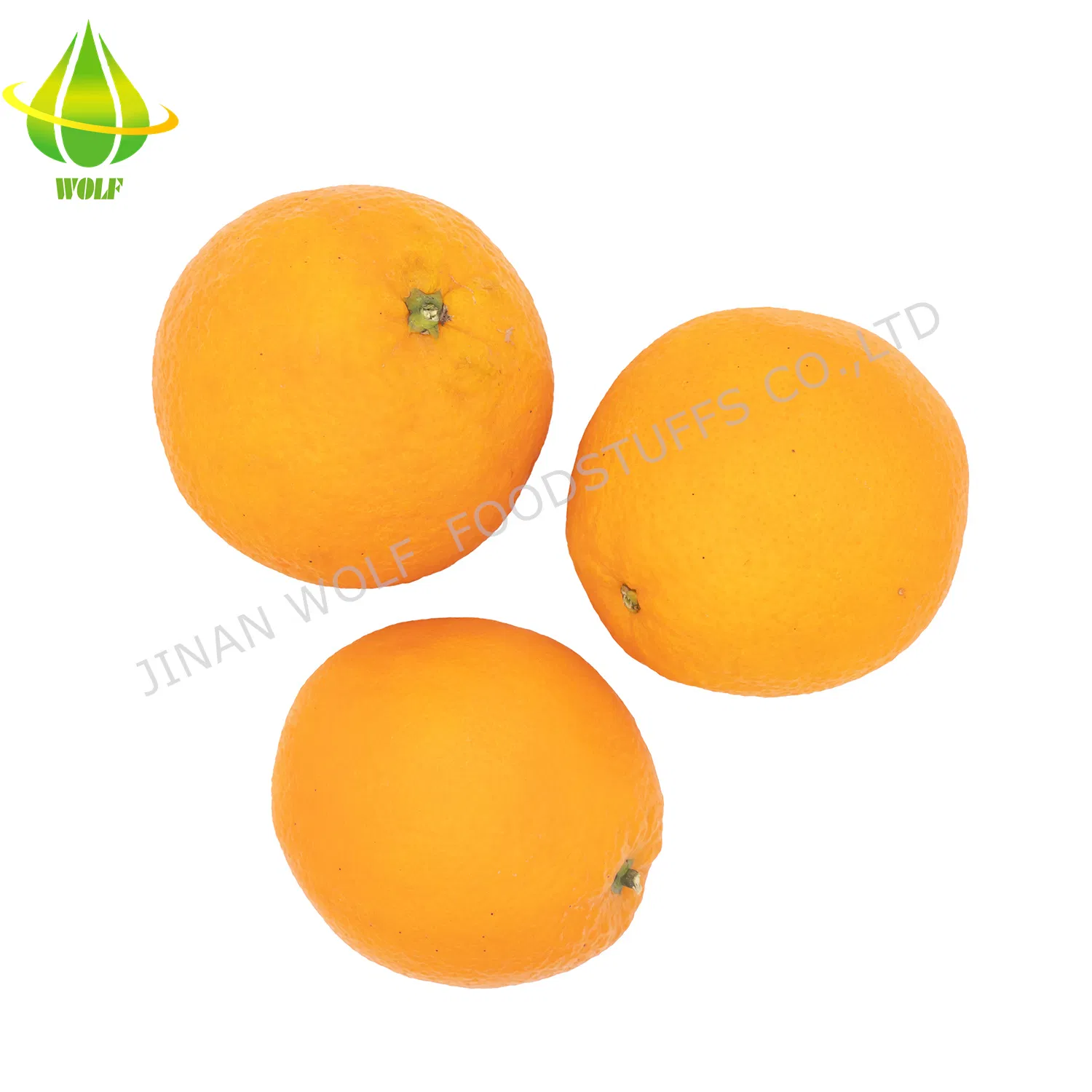 80p/ 88p /100p/113p Gannan Navel Orange From The Factory