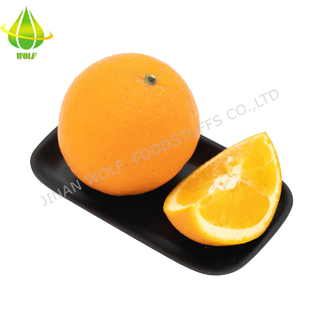 80p/88p/100p/113p Premium Gannan Navel Orange