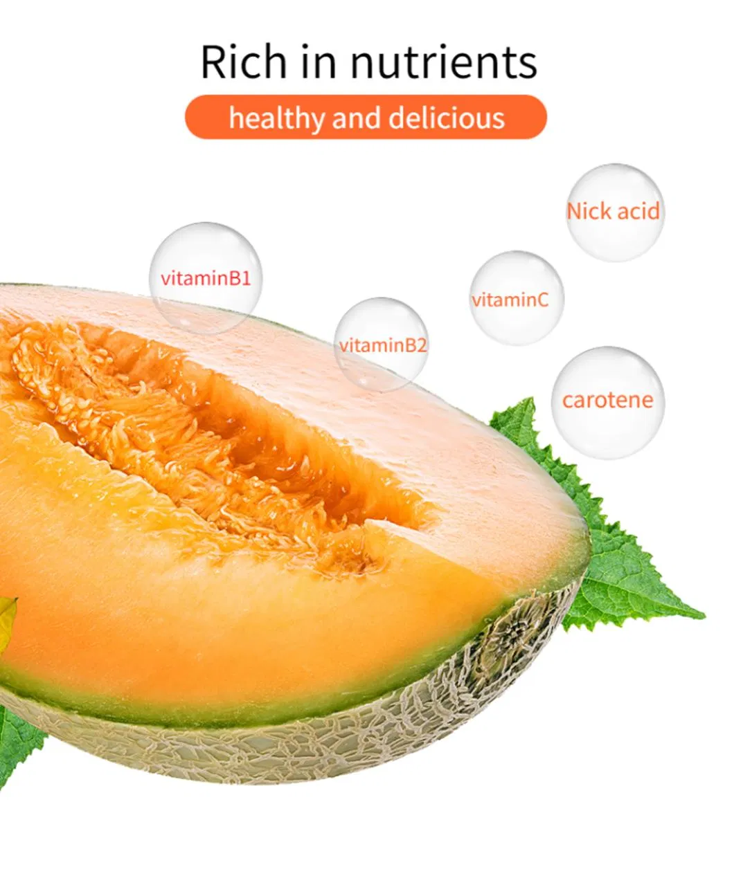 All Over The World Hot-Selling Health Fresh Delicious Sweet Hami Melon