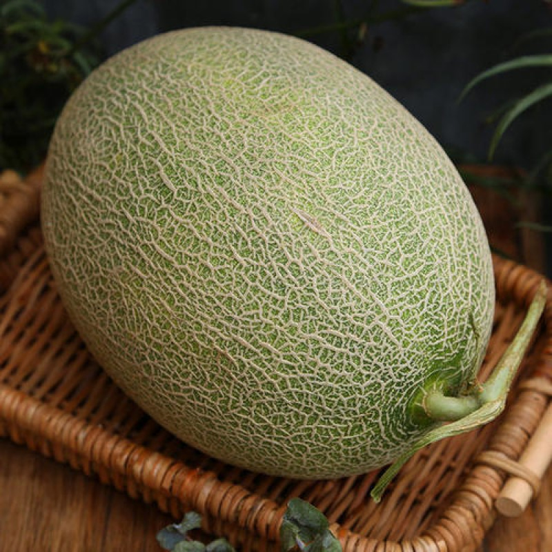 All Over The World Hot-Selling Health Fresh Delicious Sweet Hami Melon