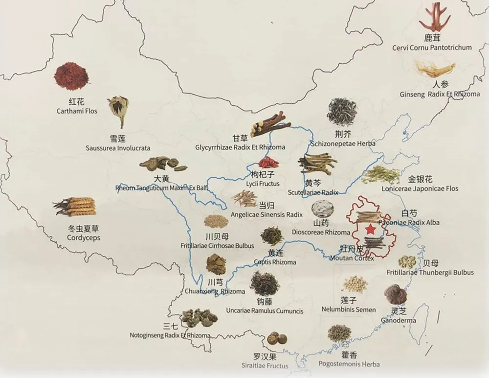 Apple Flower Tea Ping Guo Hua