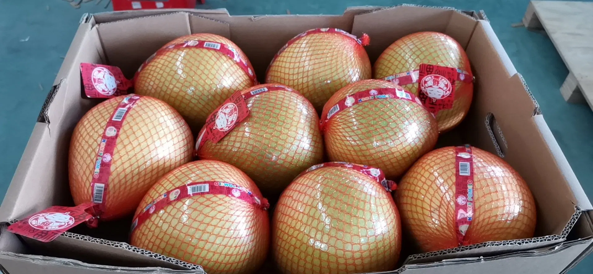Australia Standard Fresh Pomelo