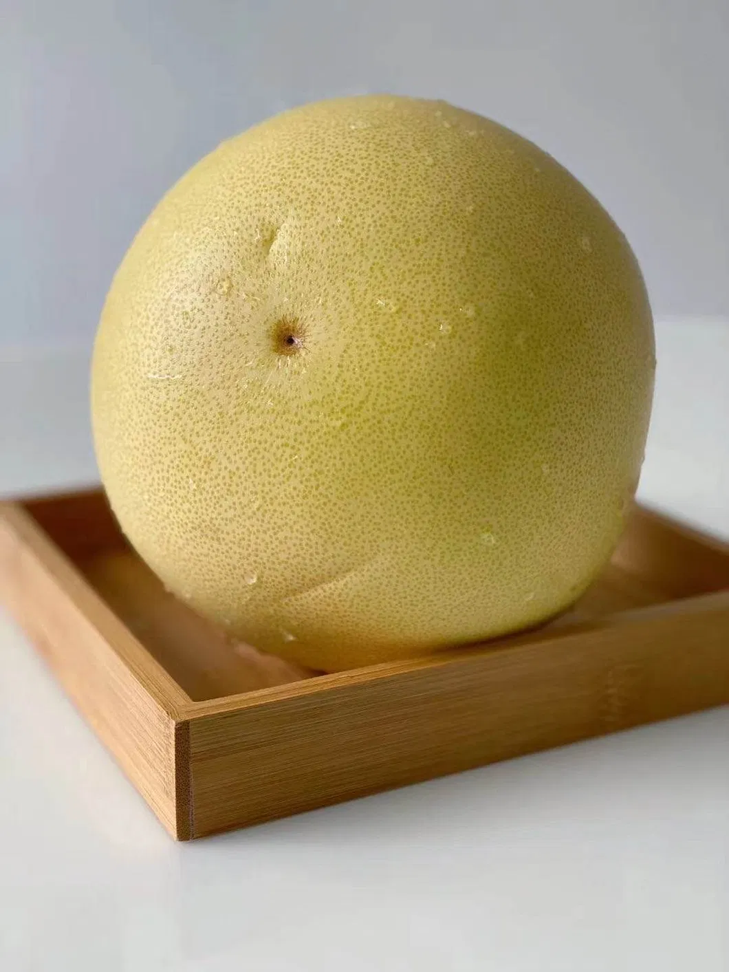 Australia Standard Pomelo