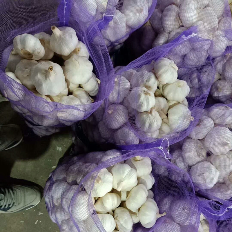 B 55mm 20kg Fresh Pure White Garlic/ Normal White Garlic Export for Kenay /Guinea/ Ghana /Gabon/Djibouti/ Congo/ Mali /Mozambique