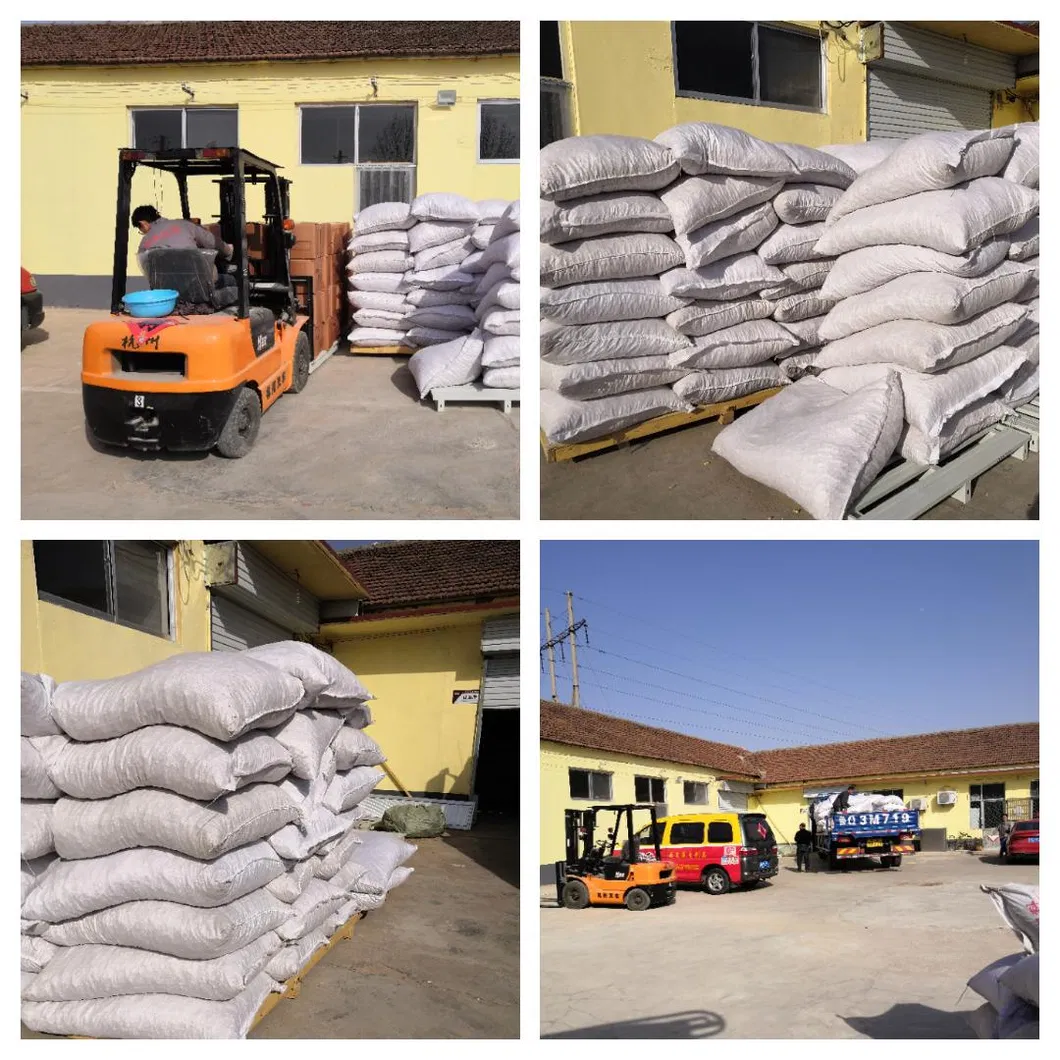 Bag Peanut Kernel New Crop Pnanut