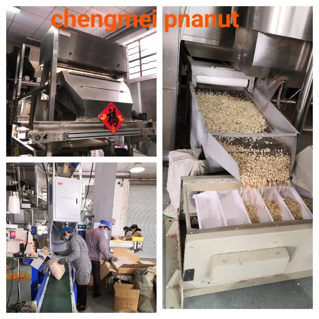 Bag Peanut Kernel New Crop Pnanut