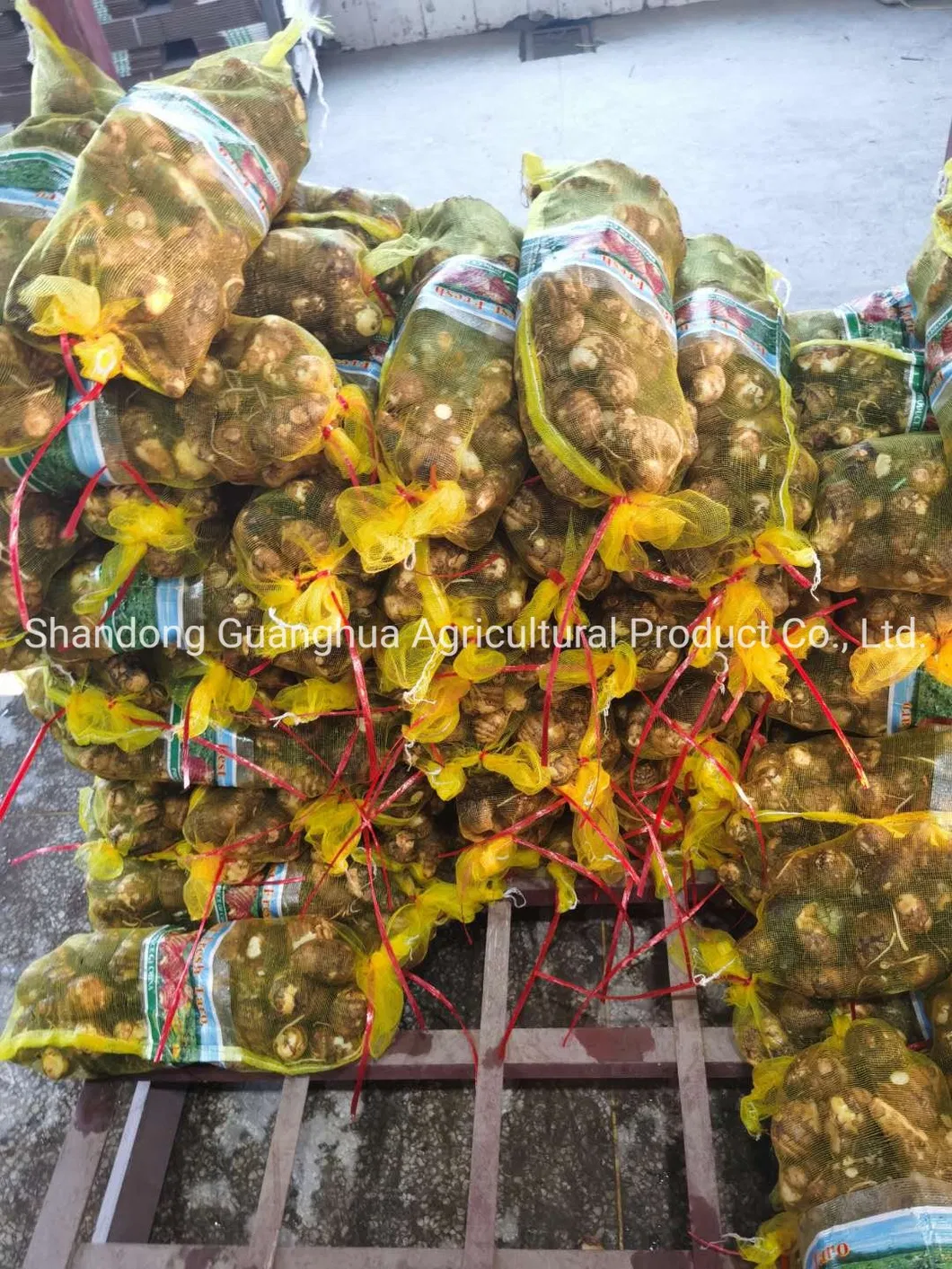 Best Selling Fresh Taro From China