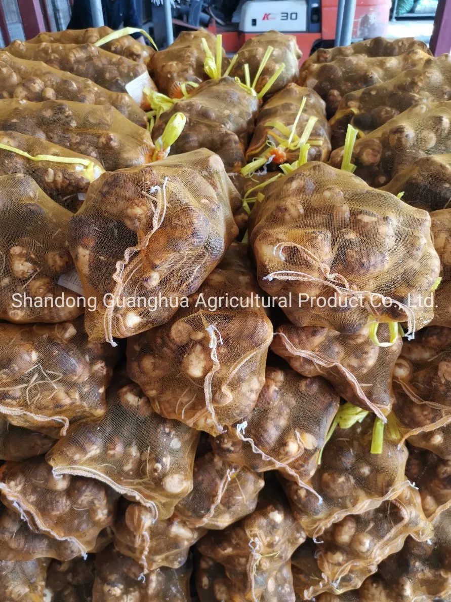 Best Selling Fresh Taro From China