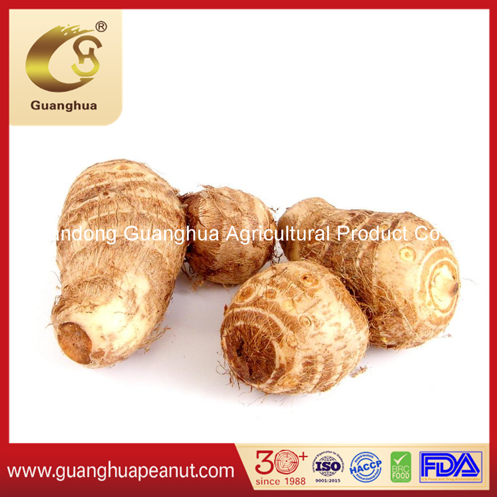 Best Selling Fresh Taro From China
