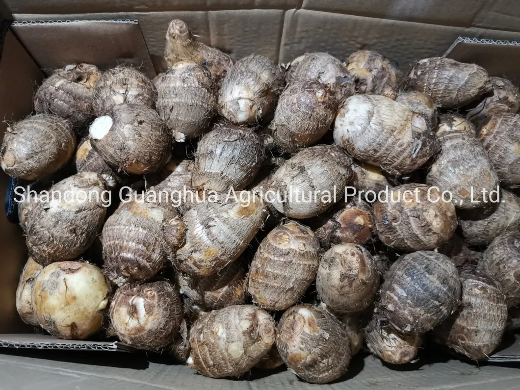 Best Selling Fresh Taro From China