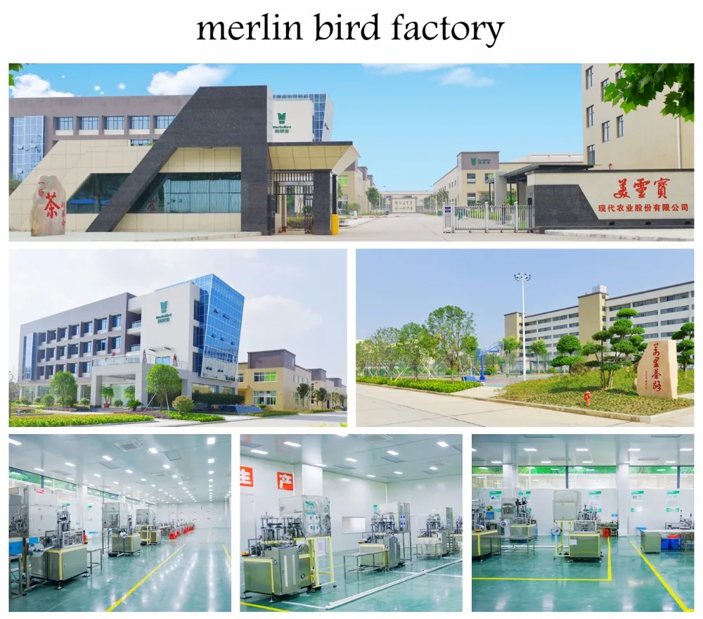 Best Selling Wholesale Natural Ginger Black Tea Customized Packing