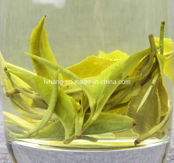 Bi Luo Chun Green Tea Second Grade