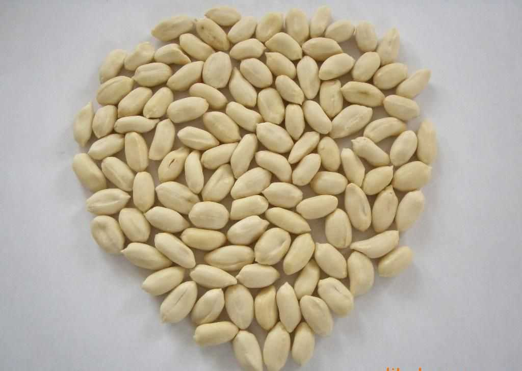 Blanched Peanut Kernels 2021 Rop