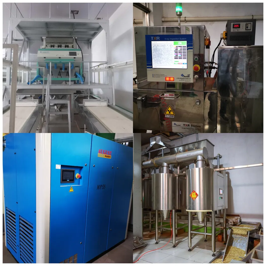 Blanched Peanut Kernels Sea Flower Type From Junan Kaibing