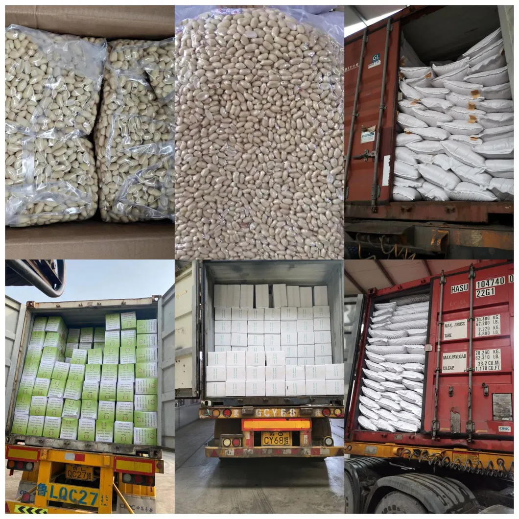 Blanched Peanut Size: 25/29 From Junan