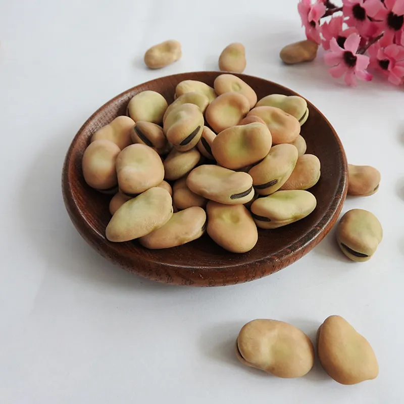 Broad Beans Hot Sale for Export