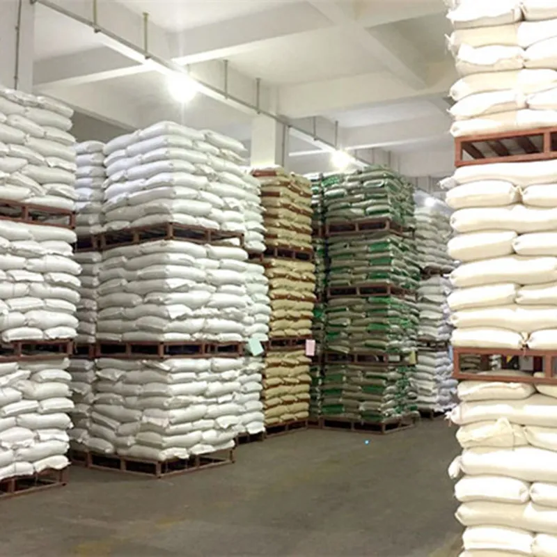 Broad Beans Hot Sale for Export