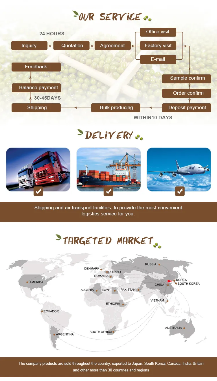 Broad Beans Hot Sale for Export